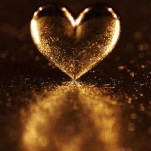 Meet your Posher, Misty